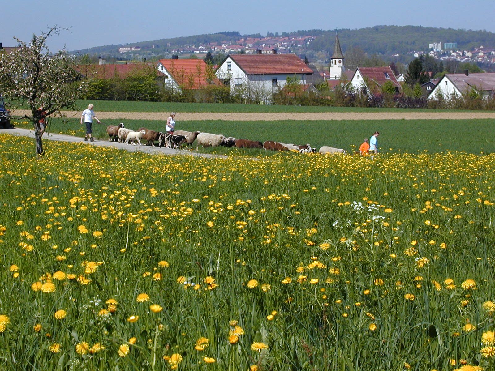  Blick auf Hochdorf 