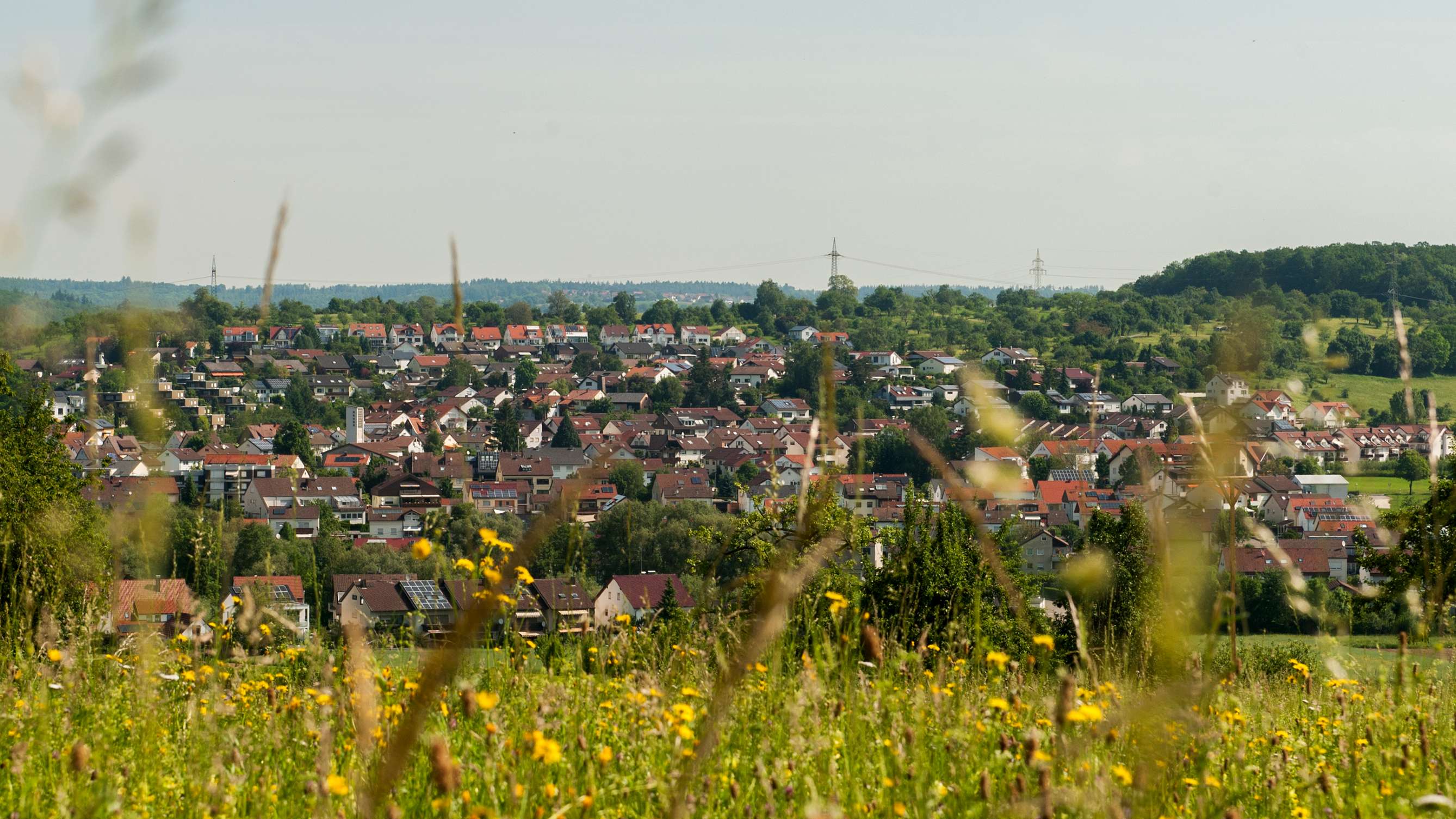  Blick auf Hochdorf 
